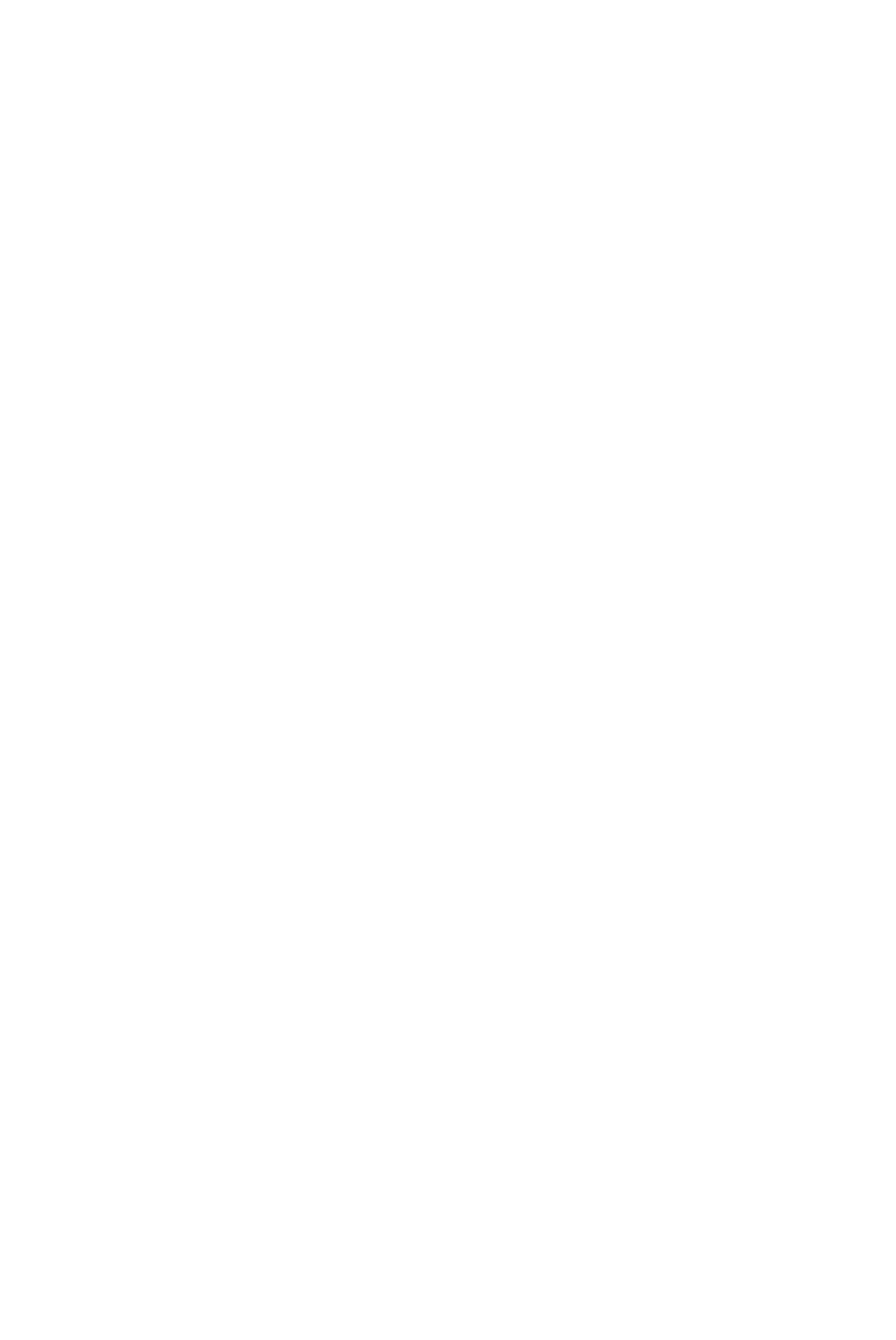 Productafbeelding 3