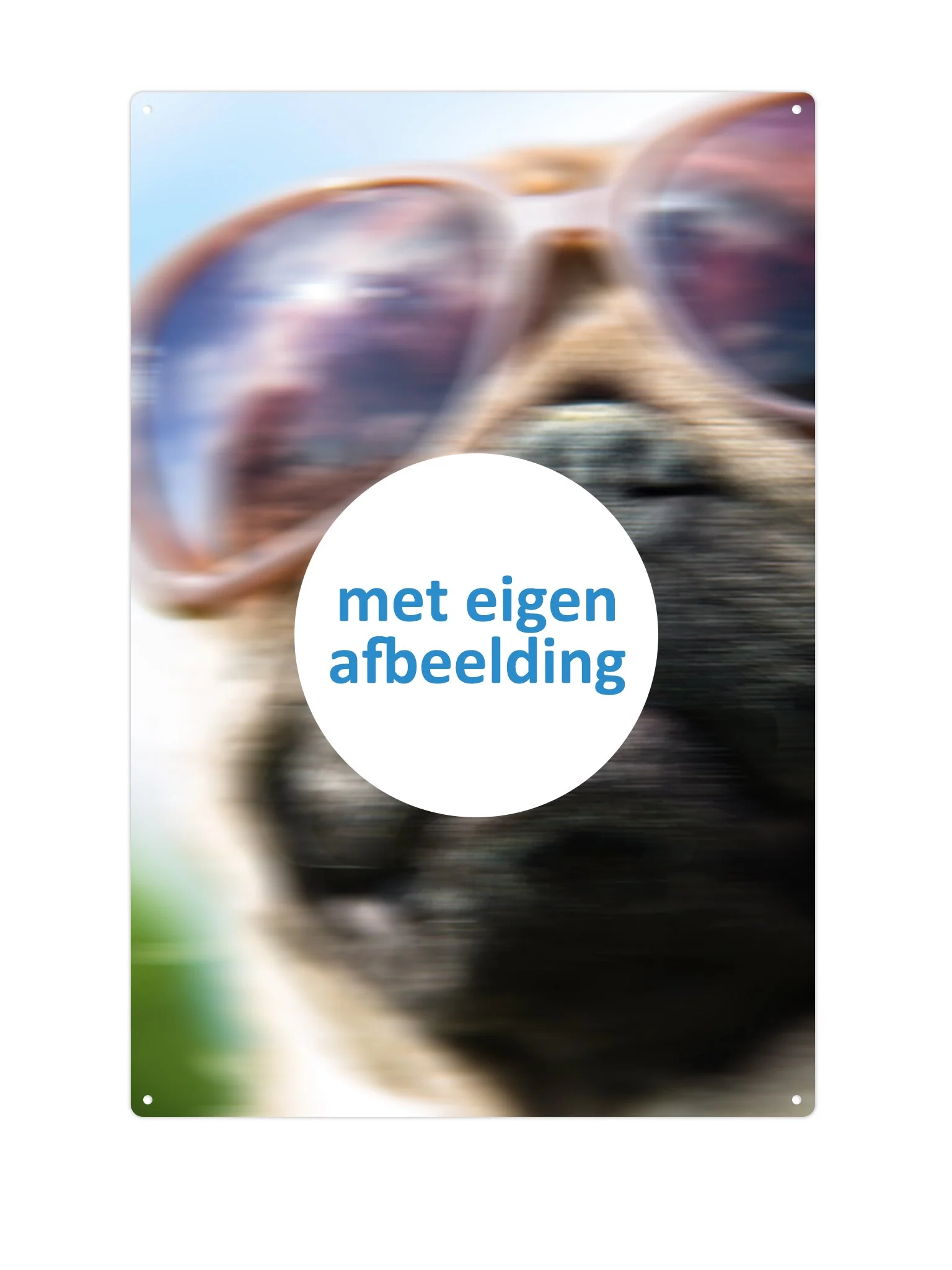 Productafbeelding 1